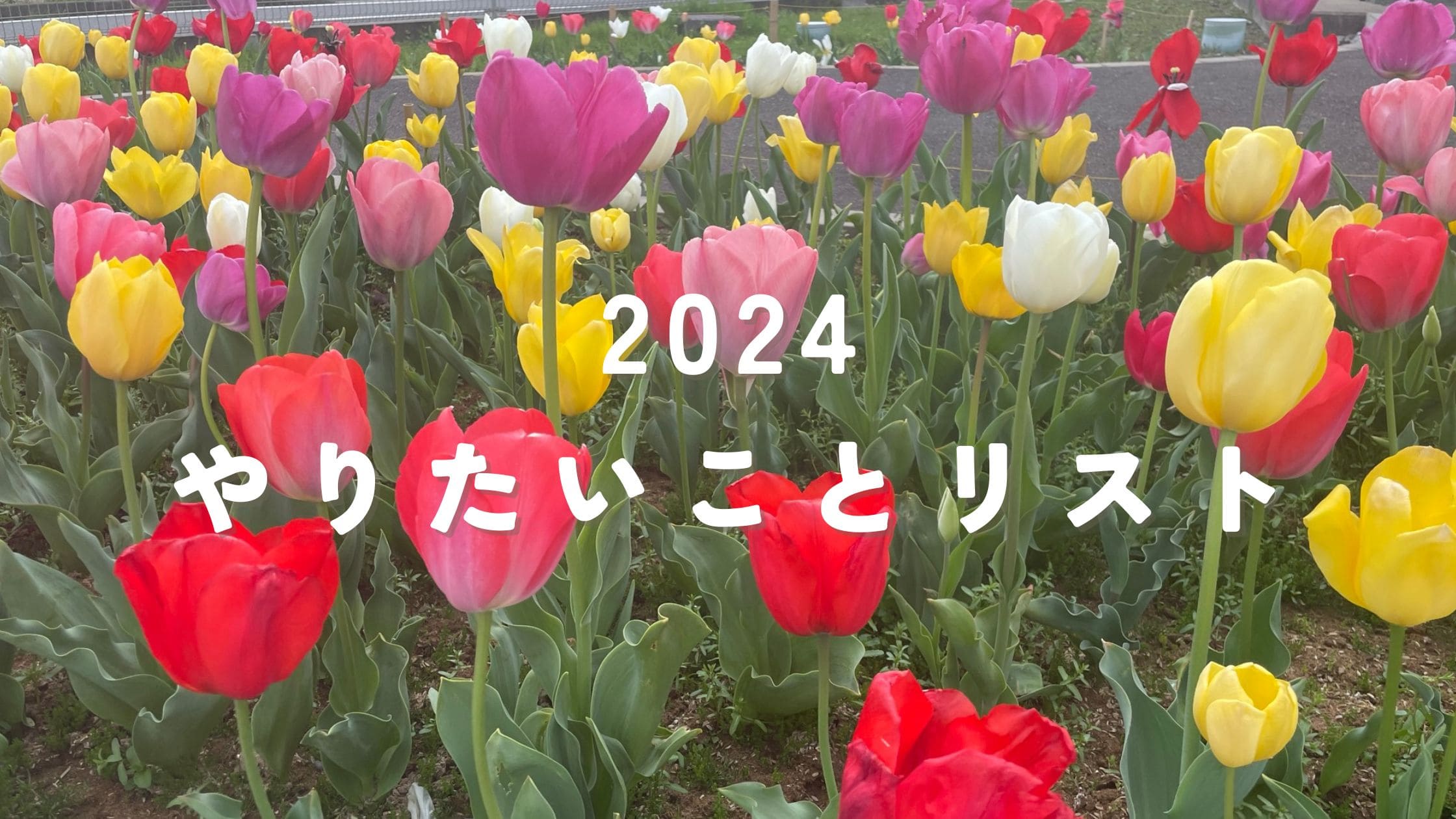 2024やりたいことリスト